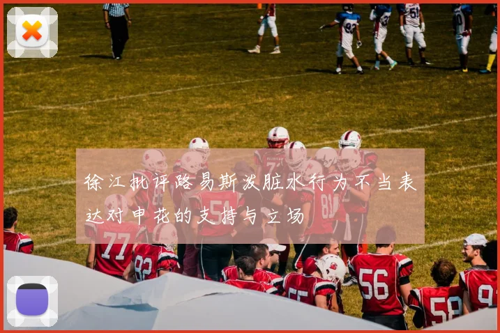 徐江批评路易斯泼脏水行为不当表达对申花的支持与立场