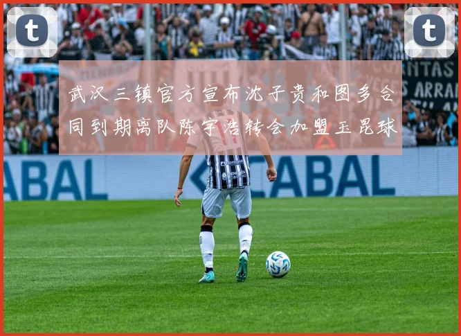 武汉三镇官方宣布沈子贵和图多合同到期离队陈宇浩转会加盟玉昆球队