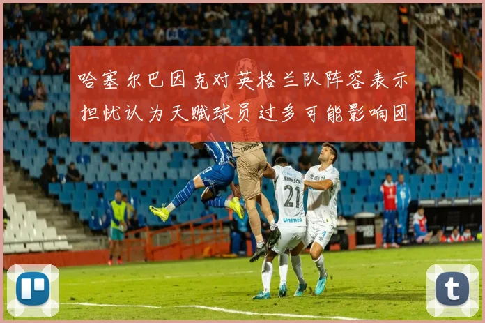 哈塞尔巴因克对英格兰队阵容表示担忧认为天赋球员过多可能影响团队合作